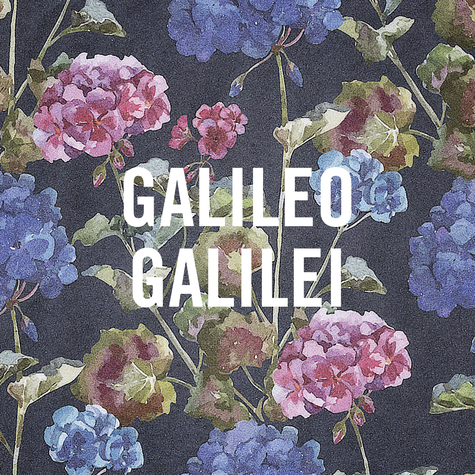 Galileo Galilei 「嵐のあとで」