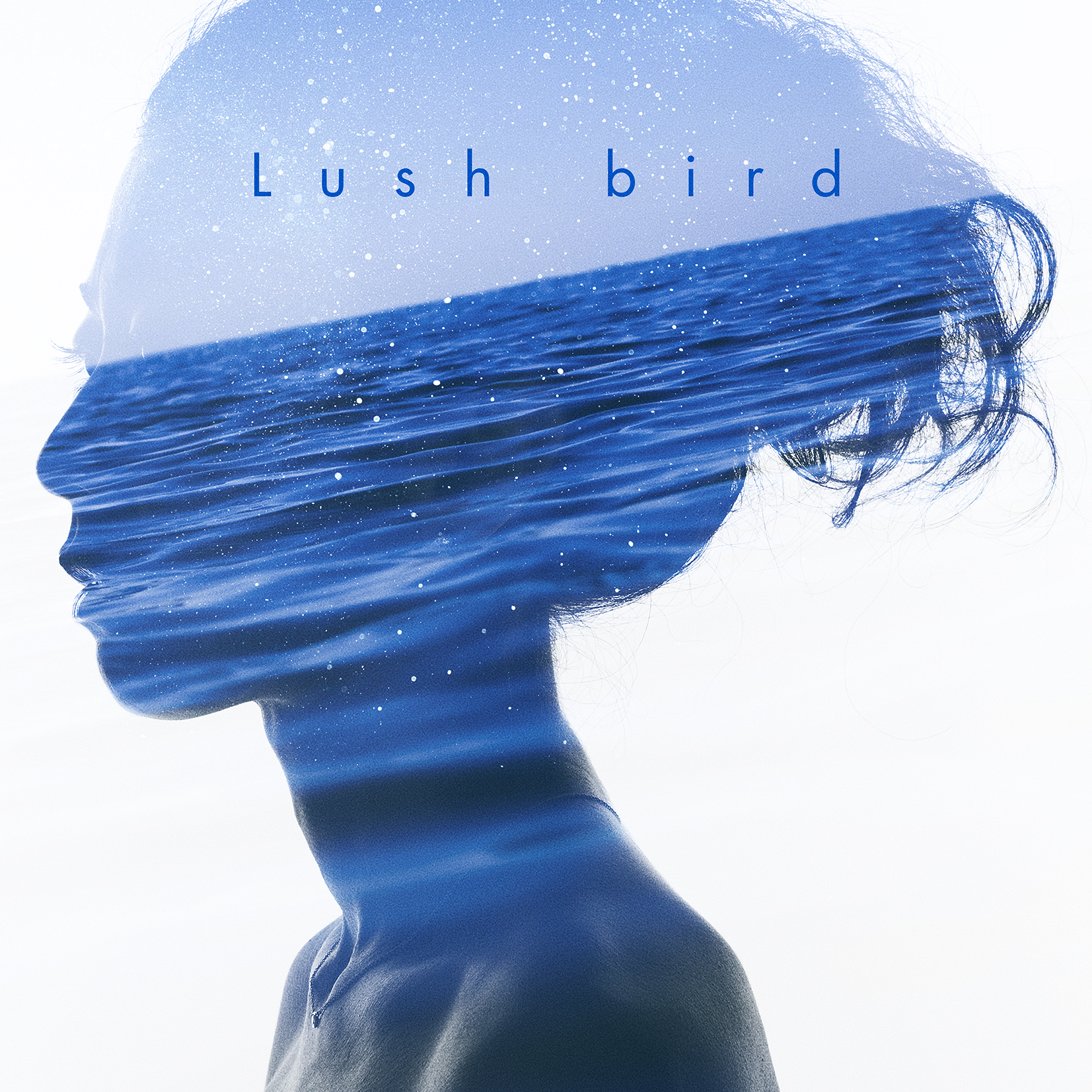 bird 「LUSH」